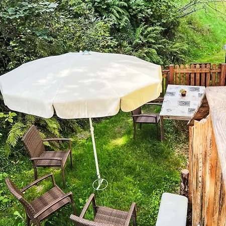 Daniel By Interhome Hollersbach im Pinzgau