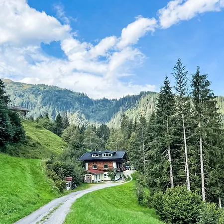 Apartment Daniel - Mii162 By Interhome Hollersbach im Pinzgau